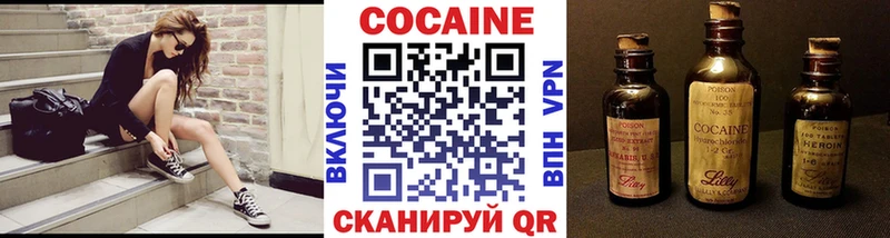 Купить где  Сунжа  Кокаин Fish Scale 