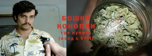спиды Богородск