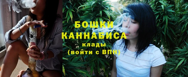 гидропоника Богданович