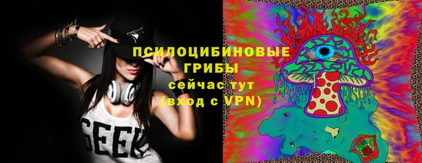 гидропоника Богданович