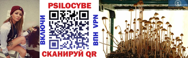 Псилоцибиновые грибы GOLDEN TEACHER  Купить  Сунжа 